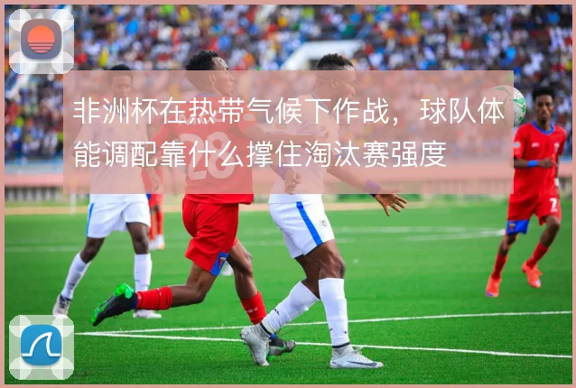 非洲杯在热带气候下作战,球队体能调配靠什么撑住淘汰赛强度