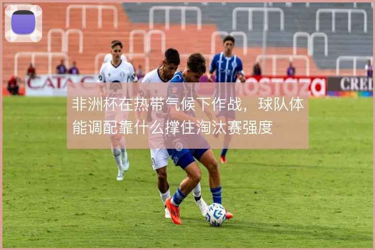非洲杯在热带气候下作战,球队体能调配靠什么撑住淘汰赛强度
