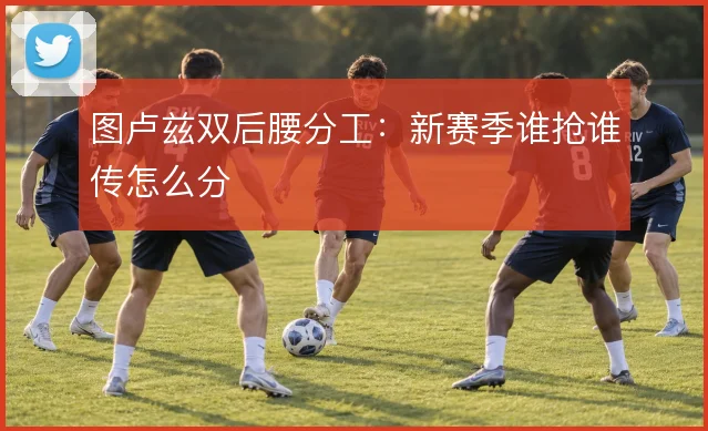 图卢兹双后腰分工：新赛季谁抢谁传怎么分